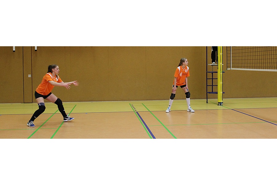 140319 Volley LF 3