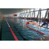 Landesfinale Schwimmen 7