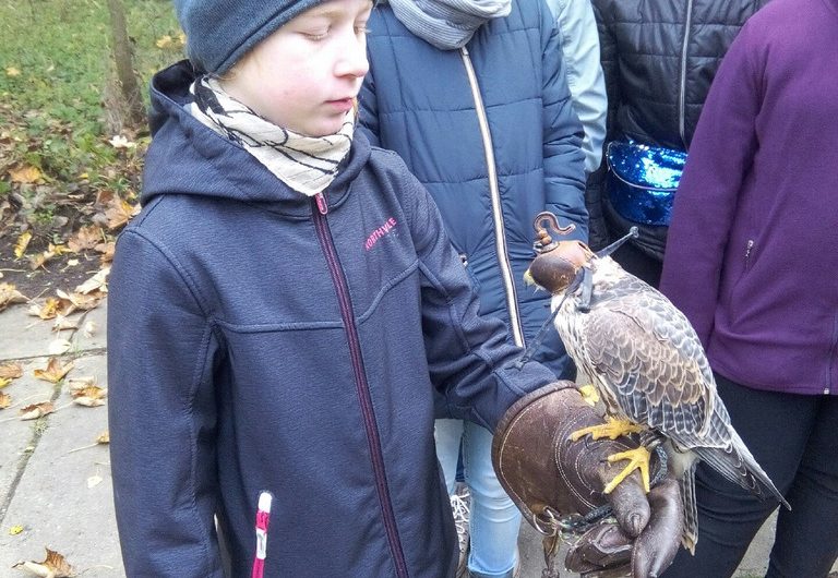 5a und 5d auf Walderlebnistour mit Falknereibesuch