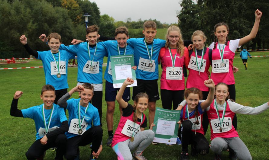 Silber und Bronze beim Landesfinale im Crosslauf