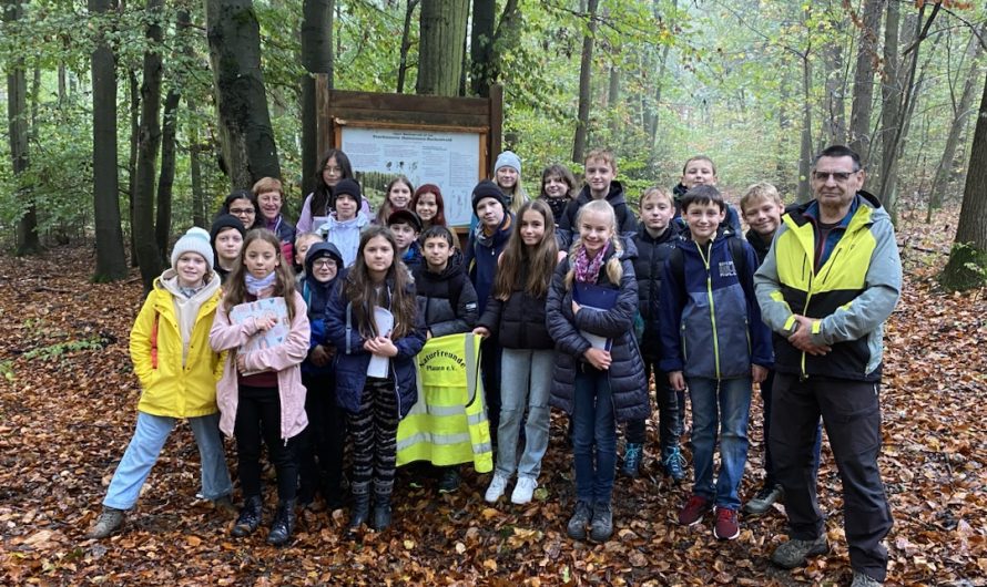 Den „Wald als Lebensgemeinschaft“ mit den Naturfreunden Plauen entdecken (Exkursion Wald Klassen 6)