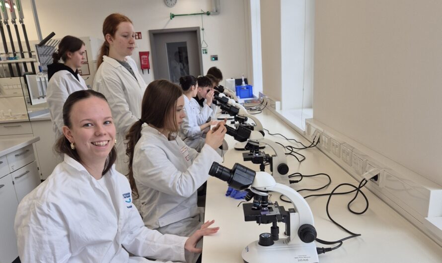 Praxisnahes Lernen an der Dualen Hochschule Sachsen